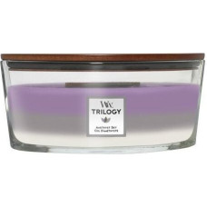 WoodWick aromātiskā svece Amethyst Sky, 453,6 g