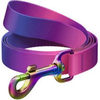 Neilona suņu siksna, Waudog, 122 cm, violeta