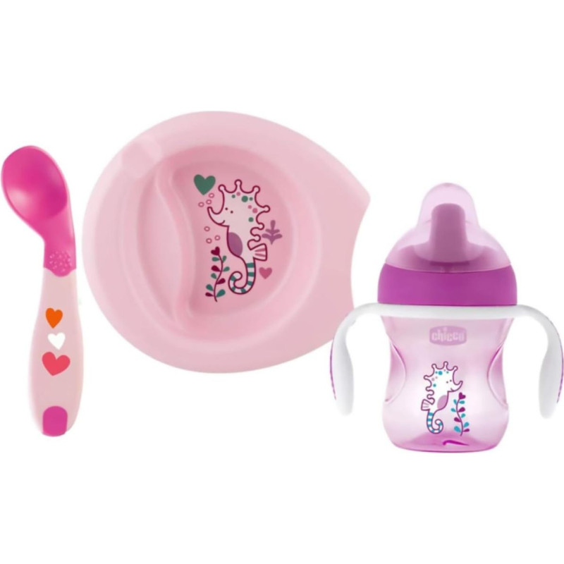 Bērnu pārtikas komplekts Chicco Rozā 6+ mēn
