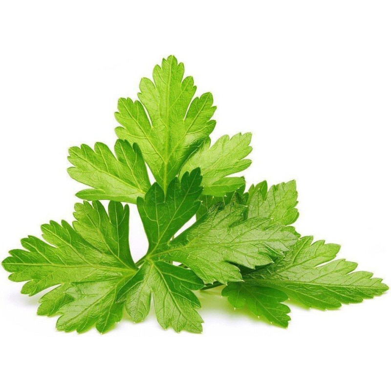 Click & Grow SGR45x3