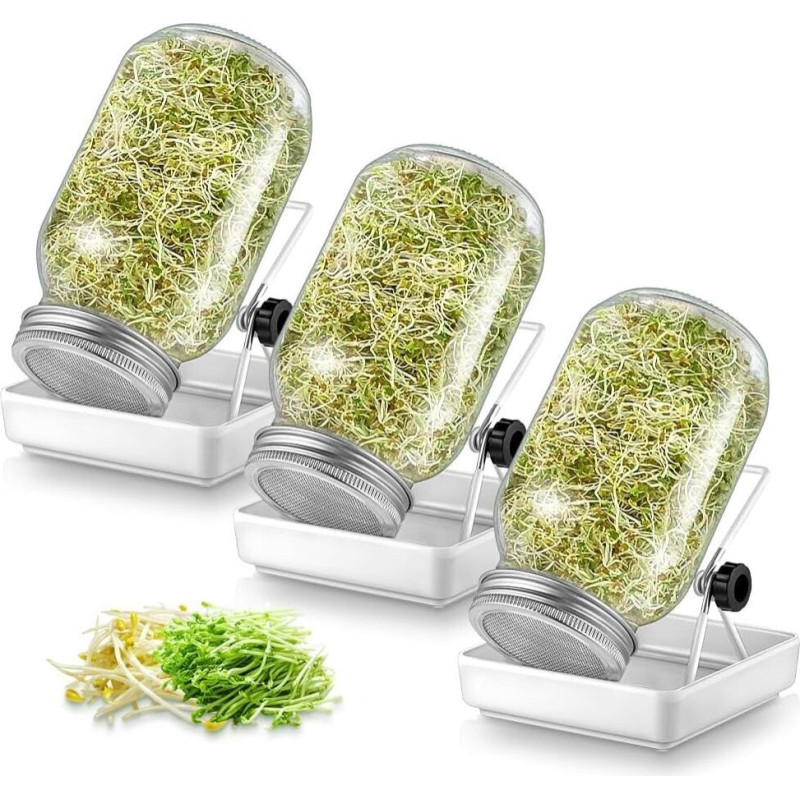 ecooe Sprossen dīgtspējas glāžu komplekts 3 gab.