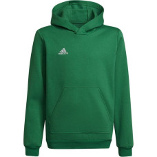 Džemperis bērniem Adidas Entrada 22 Hoody Y Jr HI2143, zaļš