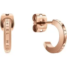 Auskari sievietēm Daniel Wellington DW00400146