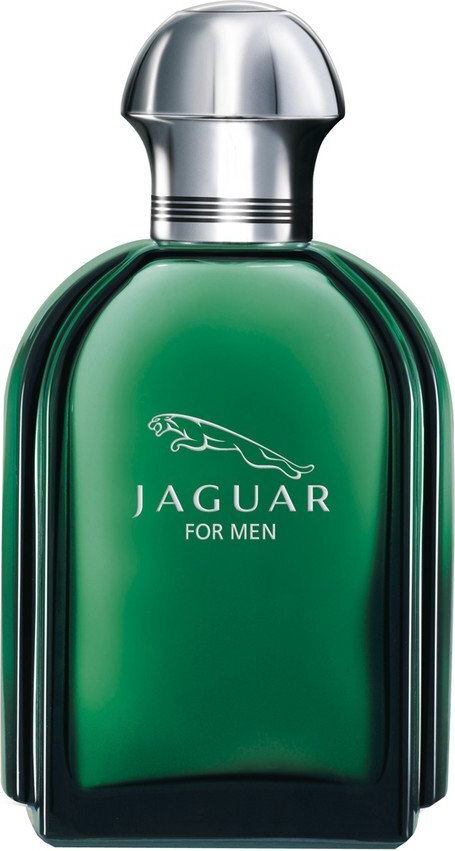 Jaguar Jaguar EDT vīriešiem 100 ml