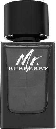 Burberry Mr. Burberry EDP M 100