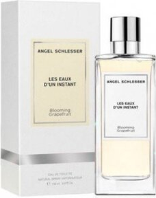 Angel Schlesser Les Eaux D´Un Instant