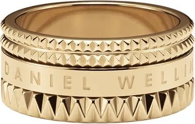 Daniel Wellington Unmissable Elevation DW0040026 apzeltīts